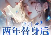 小说完整版《当了两年替身后，我跑路了》免费阅读-有书评