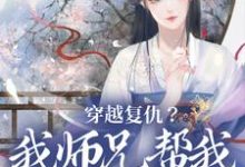 穿越复仇？我师兄帮我直接搞定小说的无弹窗阅读体验，寻找免费阅读网站-有书评