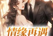 情缘再遇,我超爱!苏杭徐行之,情缘再遇,我超爱!在线无弹窗阅读-有书评