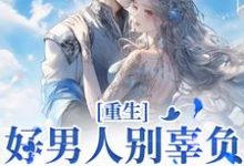 重生:好男人别辜负,渣男别放过小说最新章节在哪里可以读到?-有书评
