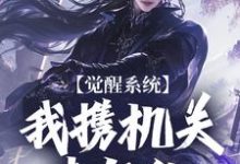 觉醒系统:我携机关来复仇小说阅读,觉醒系统:我携机关来复仇完结版-有书评