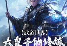 武道世界：六皇子他修炼修成逆子啦小说阅读，武道世界：六皇子他修炼修成逆子啦完结版-有书评