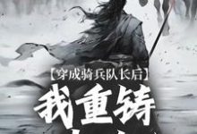 求穿成骑兵队长后，我重铸大唐英魂小说的全文免费阅读链接-有书评