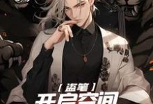 在线寻找盗笔:开启空间,我带主角团起飞小说的无删减版本-有书评