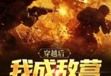 完结版《穿越后我成敌营大反派》章节阅读-有书评
