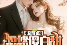 哪里能找到重生千禧：忽悠傻白甜制霸全球小说的全部章节？-有书评