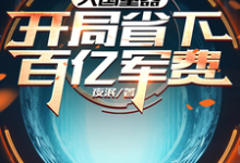 《大国重器:开局省下百亿军费》小说大结局免费试读 叶辰小说-有书评