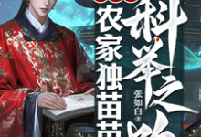 免费在线阅读穿越之农家独苗苗的科举之路小说的正规网站有哪些？-有书评
