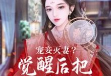 完结版《宠妾灭妻?觉醒后把渣男骨灰扬了》章节阅读-有书评