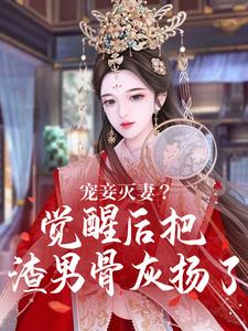 完结版《宠妾灭妻？觉醒后把渣男骨灰扬了》章节阅读