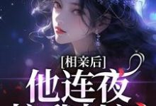 相亲后,他连夜拉我扯证小说免费资源,相亲后,他连夜拉我扯证在线阅读-有书评
