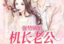 完结版《强势锁婚:机长老公揽腰宠》在线免费阅读-有书评