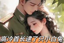 高冷首长逮了只小白兔会咬人！小说的无弹窗阅读体验，寻找免费阅读网站-有书评