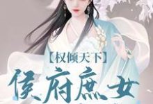 付锦书龙墨渊小说权倾天下:侯府庶女的逆袭章节免费阅读-有书评