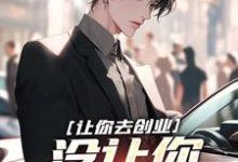 小说《让你去创业，没让你制霸全球》完整版章节免费阅读-有书评