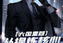 哪里可以免费找到大国重器:从提炼核心技术开始?-有书评