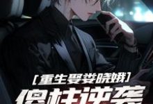 求重生娶娄晓娥，傻柱逆袭爽文男主小说的全文免费阅读链接-有书评