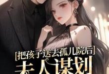 免费在线阅读把孩子送去孤儿院后,夫人谋划总裁家产小说的正规网站有哪些?-有书评