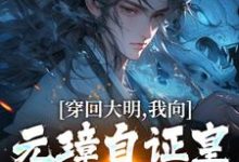 穿回大明，我向元璋自证皇长孙身份朱雄英朱元璋小说免费阅读-有书评