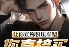 让你宣称积压车型，你直接买脱销？小说有没有完结版在线？-有书评