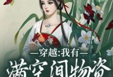穿越：我有满空间物资还得逃命？小说全文阅读需要付费吗？寻找免费资源-有书评
