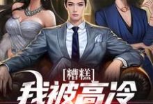 张权小说《糟糕!我被高冷御姐缠上了》完整版免费阅读-有书评