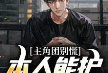 主角团别慌！本人能护所有血条小说完结了吗？在哪里可以免费读到？-有书评