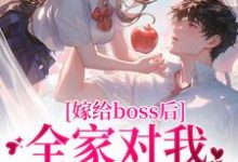 嫁给boss后，全家对我刮目相看完整版小说免费阅读，嫁给boss后，全家对我刮目相看小说-有书评