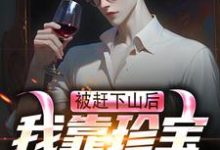 被赶下山后,我靠珍宝登上巅峰小说全文哪里可以免费看?-有书评