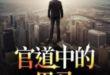 在线寻找救到命中贵人后,官职一路高升小说的无删减版本-有书评