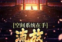 小说完整版《空间系统在手,流放帝王不愁》免费阅读-有书评
