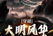 寻找穿越：大明风华哥来承袭小说的最新更新章节-有书评
