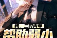 小说完整版《我,三好青年,帮助弱小持正义!》免费阅读-有书评