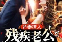 阮辞司沉夜小说免费阅读完整版-有书评
