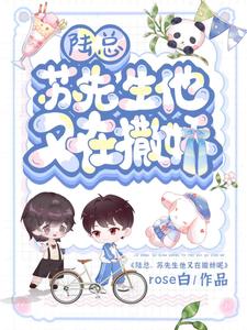陆总，苏先生他又在撒娇！免费阅读，陆总，苏先生他又在撒娇！章节目录