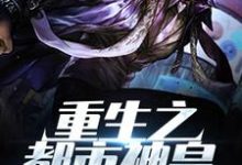 小说完整版《重生之都市神皇》免费阅读-有书评