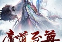 圣道至尊完整版最新章节，圣道至尊章节在线阅读-有书评