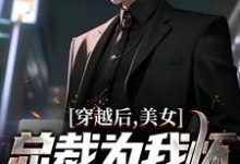 小说《穿越后,美女总裁为我怀了三胞胎》完整版章节免费阅读-有书评