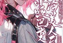 沈夏小说免费阅读完整版-有书评