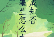 求穿成知否墨兰怎么办小说的全文免费阅读链接-有书评