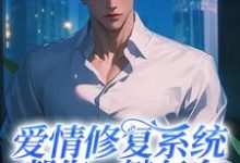 小说《爱情修复系统帮您一键复合》完整版在线章节免费阅读-有书评