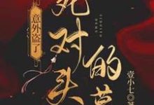 司遇厉雍寻小说完整版《意外盗了死对头的墓》免费阅读-有书评