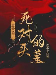 司遇厉雍寻小说完整版《意外盗了死对头的墓》免费阅读