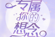 专属你的想念小说阅读，专属你的想念完结版-有书评