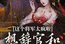 完结版《这个将军太疯啦,想辞官和夫人贴贴》章节目录在线阅读-有书评