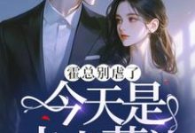 完整版小说《霍总别虐了，今天是夫人葬礼》免费阅读-有书评