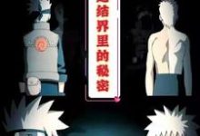 火影:木遁结界里的秘密小说无弹窗阅读的网站推荐-有书评