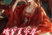 苏小小年世兰小说在线章节免费阅读(夏冬春穿越日记:我与华妃二三事无弹窗无删减)-有书评