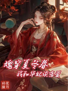 苏小小年世兰小说在线章节免费阅读（夏冬春穿越日记：我与华妃二三事无弹窗无删减）