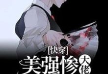 已完结小说《[快穿]美强惨大佬总想独占我》章节免费阅读-有书评